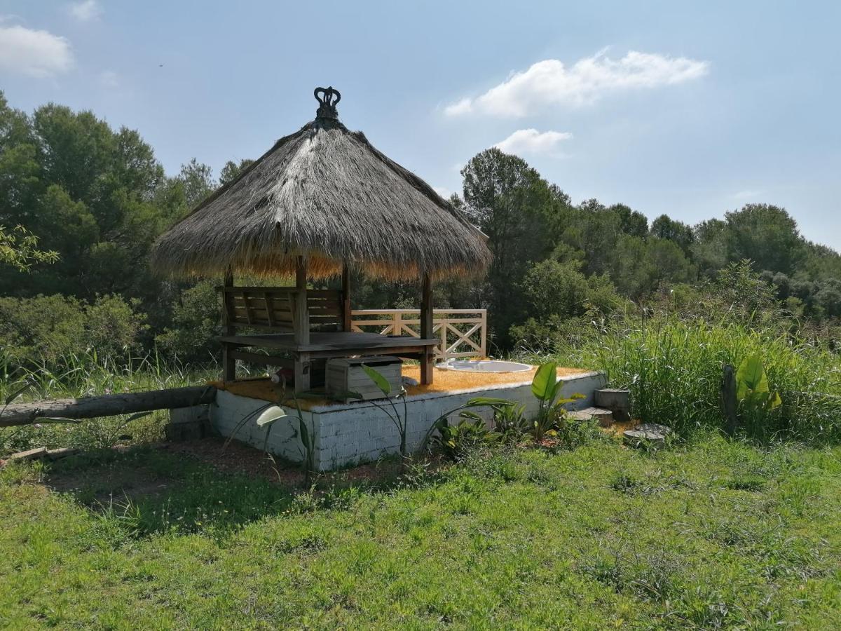 Гостьовий будинок Chilliman & Mas Miro Biofarm Catllar Екстер'єр фото